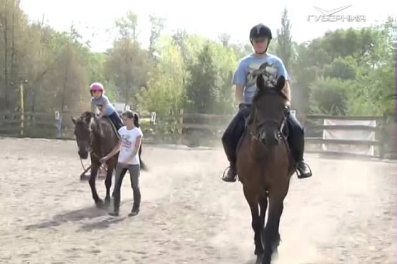 Азбука потребителя 13.09.2016. Конный спорт в Самаре