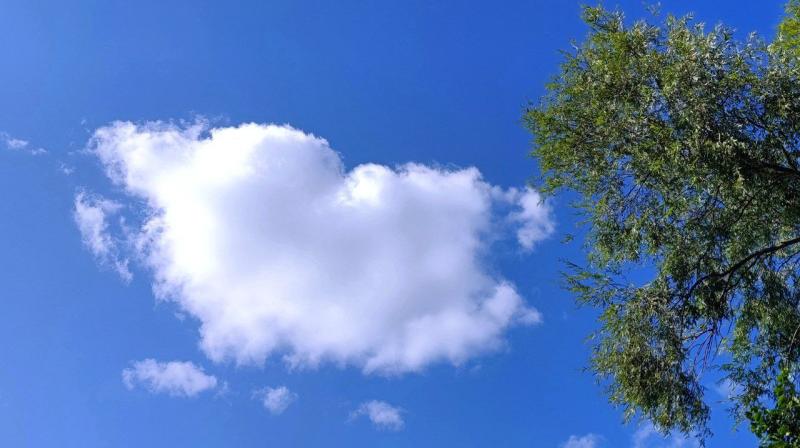 В Отрадном появился новый молодежный сквер