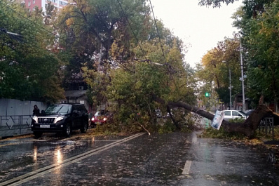В Самаре устраняют последствия шторма
