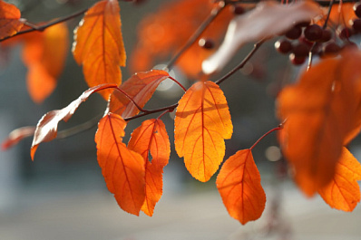 Народные приметы на 21 ноября 2025 года: что нельзя делать в этот день