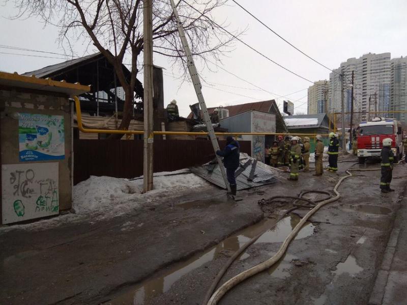 Самарская команда Высшей лиги КВН "Волжане" посадила 3 тысячи деревьев