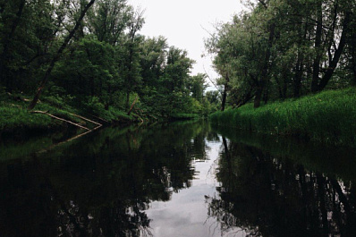 В Самарской области за 5 лет планируют расчистить 20 км русел рек