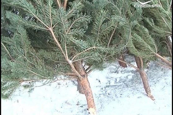 Какие новогодние сувениры сейчас в моде. Территория Тольятти от 18.12.2018