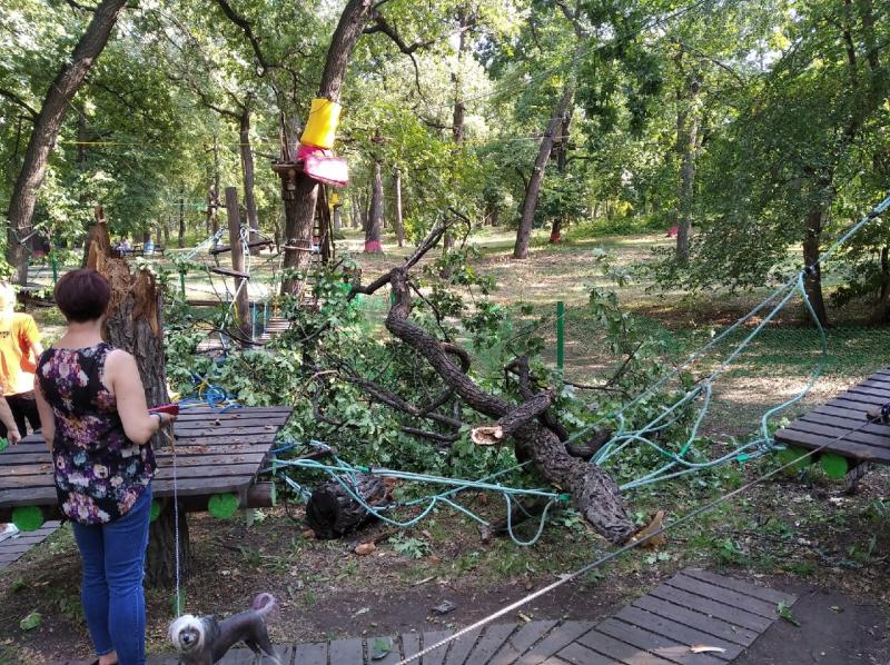 В Загородном парке в Самаре 8 августа на детский верёвочный парк рухнула крупная ветка дерева