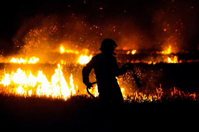 Жителей Самарской области предупредили о пожарной опасности лесов 5 класса