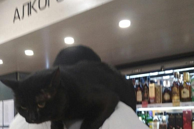 В Самарской области больше суток не будут продавать алкоголь