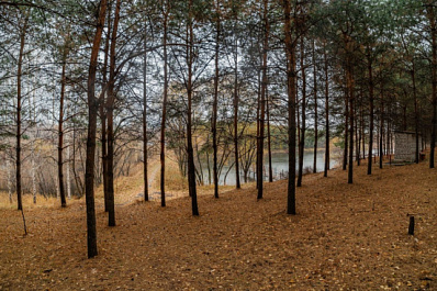 В Самарской области из двух лесничеств вывезли 342 тонны мусора