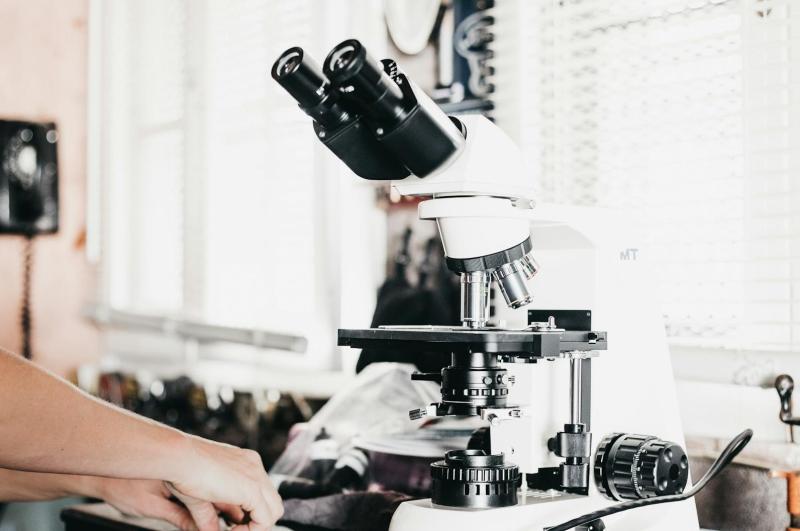 Выставки и мастер-классы: самарцев приглашают на День биолога 19 сентября