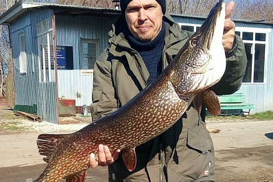 Рыбак из Сызрани выловил гигантскую хищницу