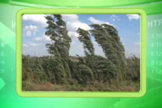 Календарь Губернии 15.06.2014