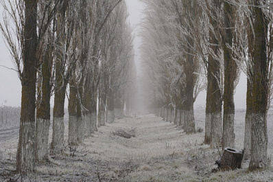 После ледяного дождя дороги в Самаре превратились в каток 
