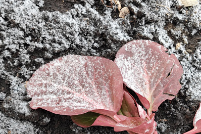 В Самарской области 30 ноября будут дождь и туман