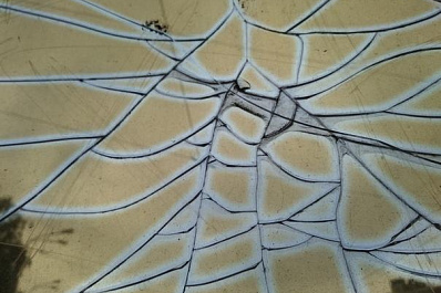 Приора насмерть сбила телят и вылетела в кювет в Самарской области