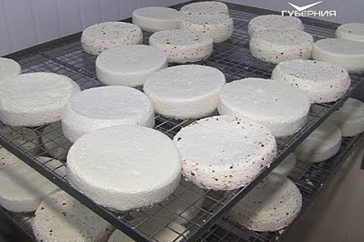 Жителям губернии помогут найти экопродукты на прилавках