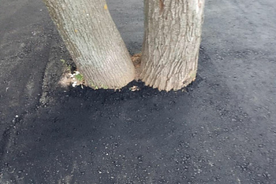 В сети появились первые фотографии нового картинга в парке Гагарина