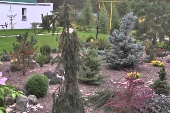 Дачные советы 18.10.2012