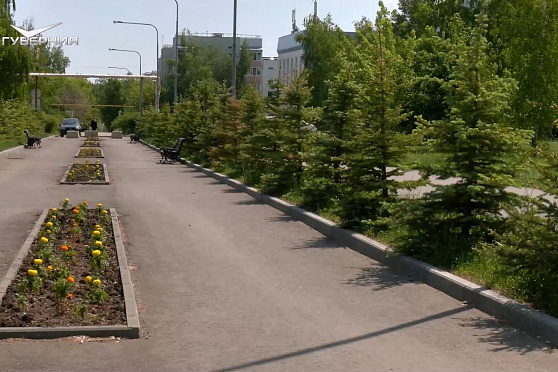 Праздник детства, благоустройство в Рощинском и футбольный турнир. Хорошие новости Волжского района