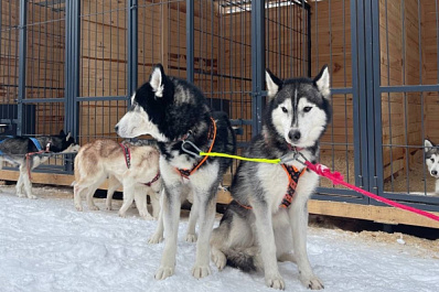 Победитель премии "Бизнес-успех" развивает экопарк семейного отдыха