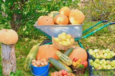 Подведены итоги фотоконкурса "Удачный кадр - 2020" 