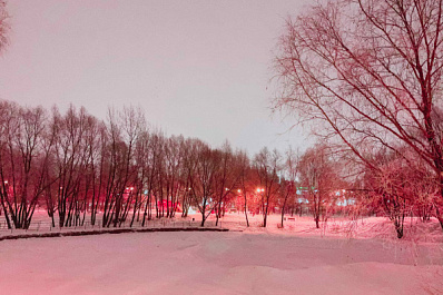 В Самарской области 12 января будет облачно и немного снежно