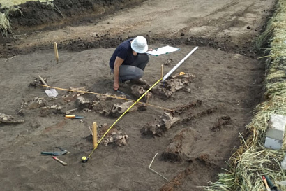 Название статьи