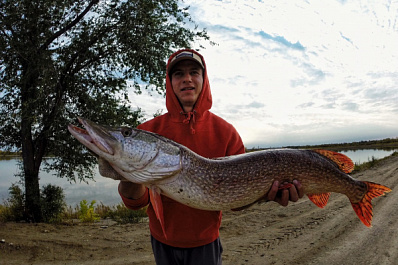"Трофейная щука": самарец поймал метрового речного гиганта 