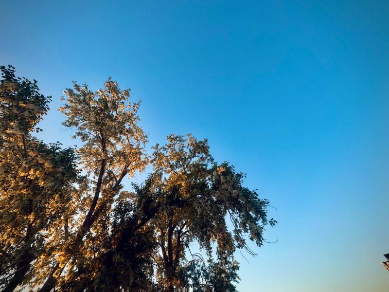 Погода на 2 июня 2025 года: народные приметы и прогноз синоптиков