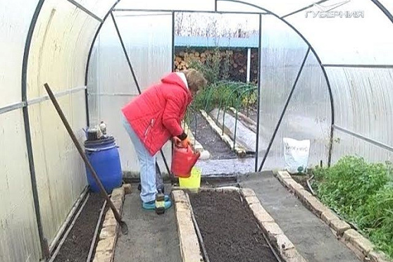 Теплица. Дачные советы от 02.11.2017