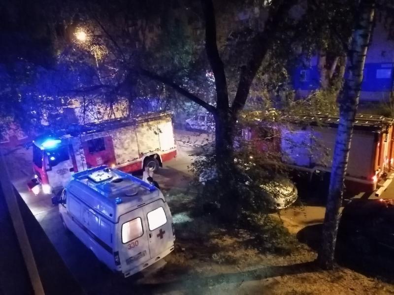 В Самаре в ночном пожаре на ул. Марии Авейде погиб мужчина