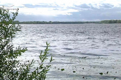 В Самаре собрали 50 мешков мусора с берега Волги