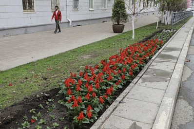 В Самаре начали высаживать уличные клумбы
