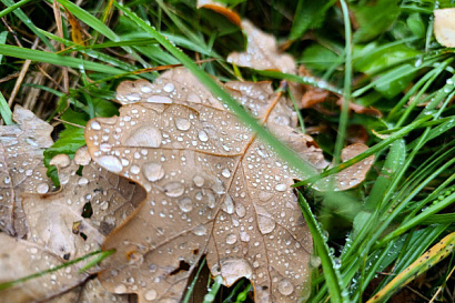 Название статьи