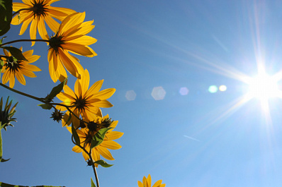 В Самарской области потеплеет до 27 °C