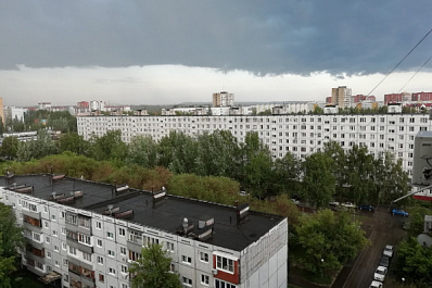 Тольяттинцев приглашают на лекцию о зеленых насаждениях города