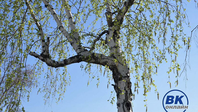 2 мая в истории и архиве "ВК"