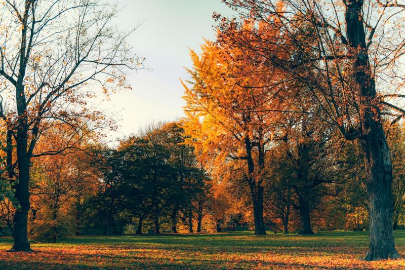 День осеннего равноденствия: какие праздники отмечают 22 сентября