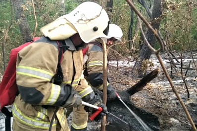 В национальном парке "Бузулукский бор" продолжается борьба с лесным пожаром
