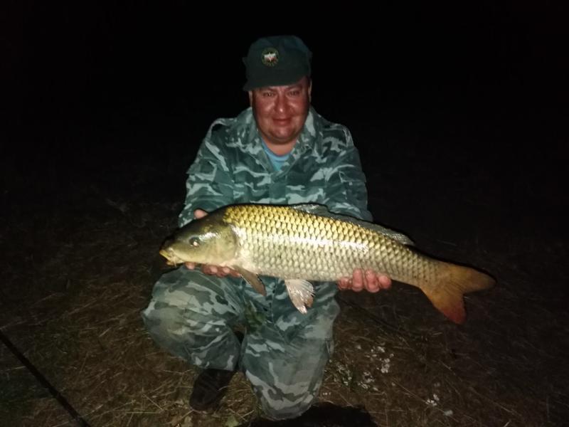 Настоящий крокодил: в Самарской области рыбак поймал гигантского сазана