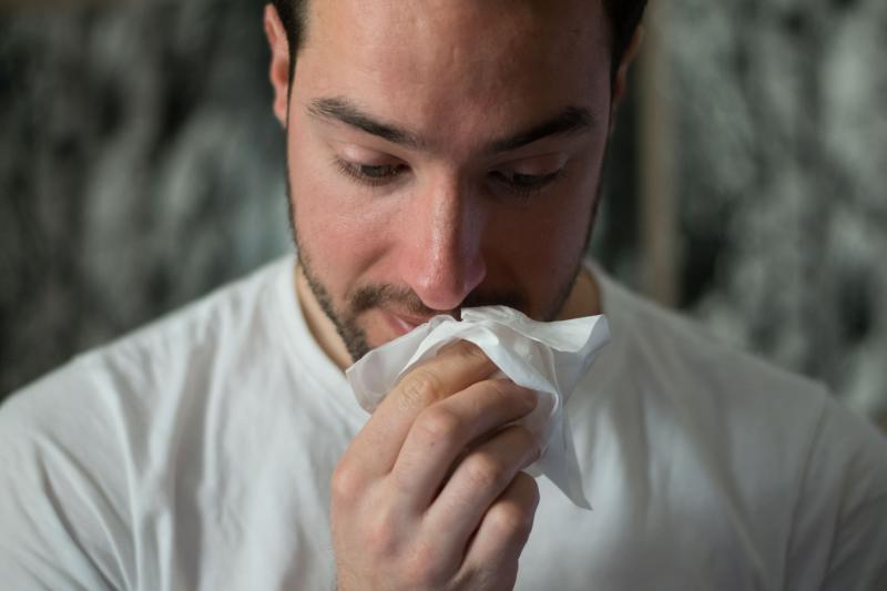 Аллергия на амброзию: симптомы и лечение