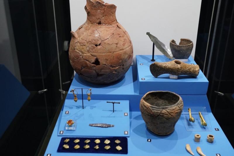 В Самаре открылась археологическая выставка