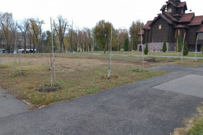 Стало известно, куда пропала детская площадка из парка Дружбы в Самаре