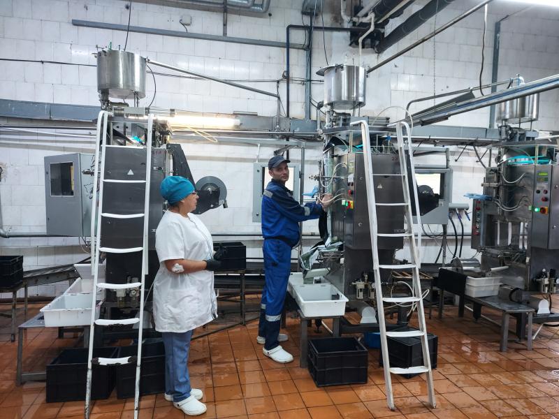 Как делают "молочку" в Красном Яре: репортаж с завода, который перерабатывает до 50 тонн сырья в сутки