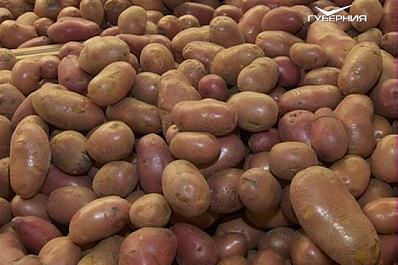 Эксперты и участники рынка обсудили проблемы местной продукции за круглым столом