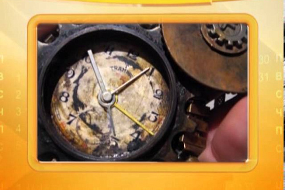 Календарь губернии 04.10.2013 