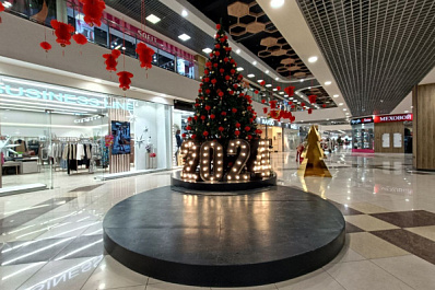 Среди самых любимых новогодних традиций россиян – украшение дома и елки