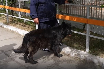 Название статьи