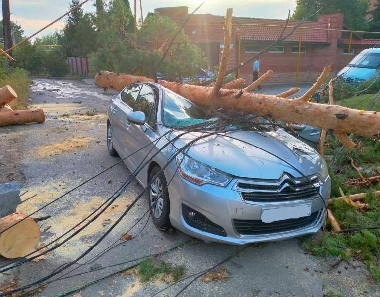 В Тольятти дерево раздавило едущий автомобиль: водителя увезли в больницу