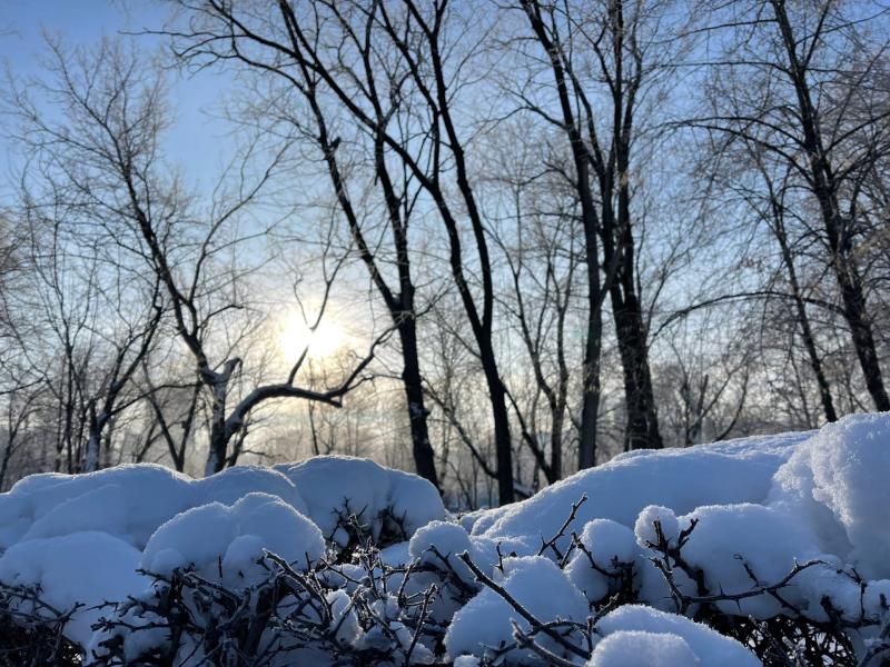 В Самарской области 8 января будет морозно и ветрено