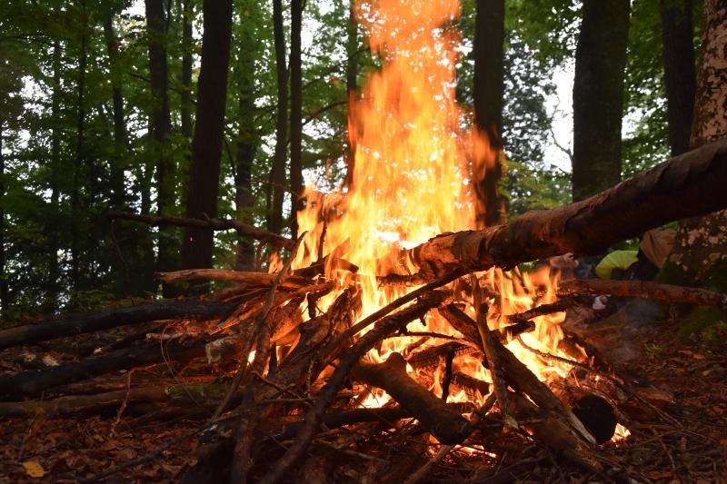 Самарцам рассказали, как вести себя при пожаре в лесу