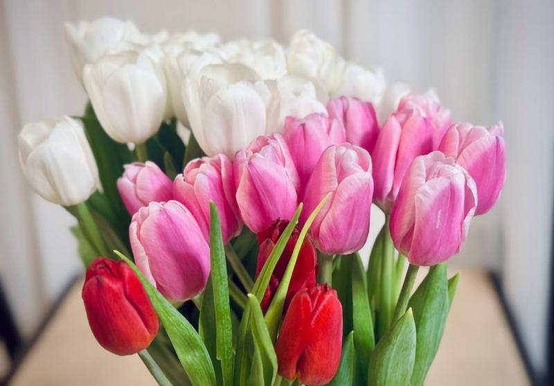 Цветы и конфеты: россияне рассказали, какие подарки готовят ко Дню учителя